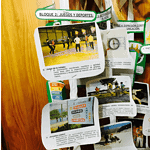 Relato autobiográfico y educación física