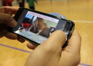 Memes en educación física